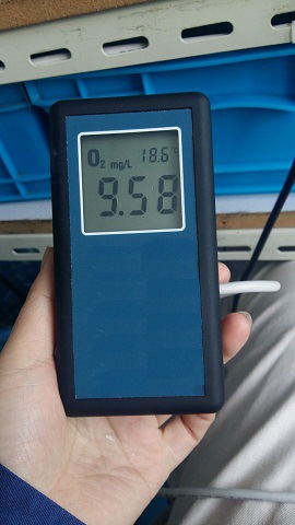 便携式微量溶解氧仪  HAD-S18A电化学分析仪器