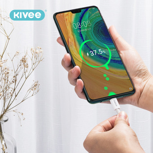KV-CT209�`��ϵ�Д�����type c�֙C��늌��ñ��3A���W��PD��늾�