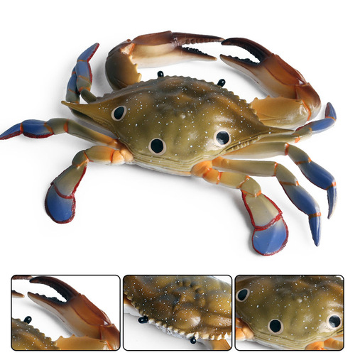 Children's solid simulation marine animal model crab safflower crab king crab swimming crab plastic toy ornaments
