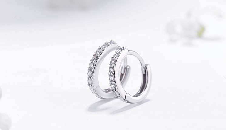 Round Earrings Image