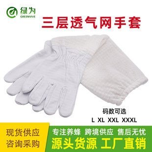 �B�䌣������͸�����׷�����ط���͸��W�۲���Ƥ�W�����o����