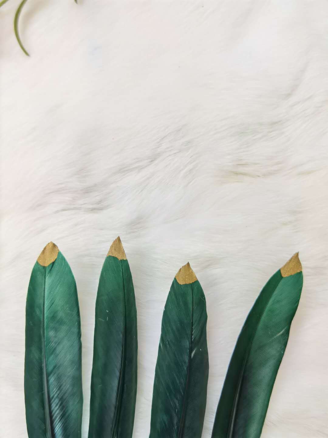 1a4e84005505a735b720c63925b919