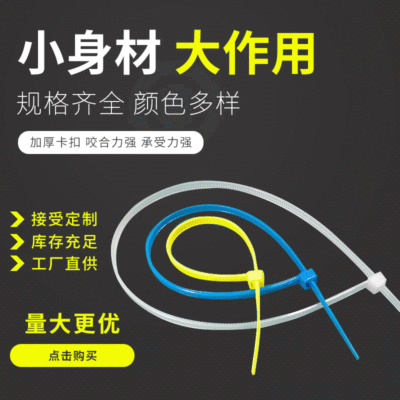 厂家供应自锁式扎带 4X中型尼龙扎带 牢固耐用捆绑束线带可定制|ru