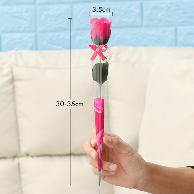 小单只玫瑰和康乃馨IMG_0815(20200301-155