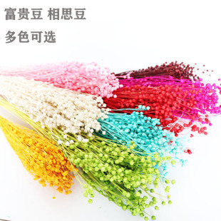 �ɻ���˼�����F�� ���鶹��� ��ˇ�YƷ��ļҾ��b���ϻ������l