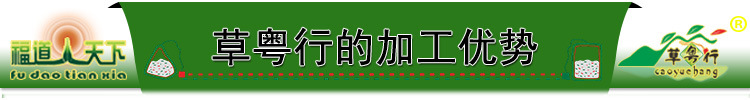 20200721辣木叶三角茶包-标题-草粤行的加工优势.jp
