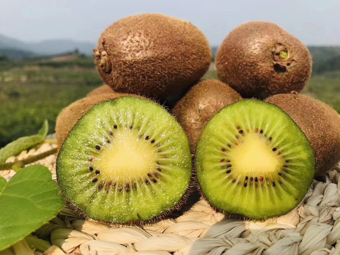 陕西徐香绿心猕猴桃新鲜水果包邮