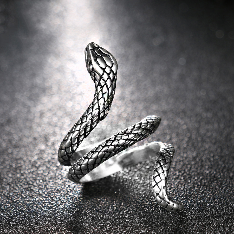 Bague Pour Homme En Alliage Plaqué Argent Punk Européen Et Américain En Forme De Serpent display picture 2