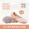 New style -free dance shoes, soft soles, practice ballet dance belly dance cat paw shape test dance shoes