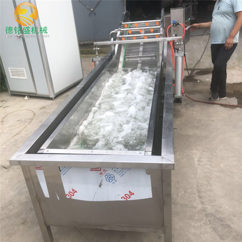 广西柠檬气泡清洗机 多功能辣椒喷淋式清洗成套设备 预冷清洗线