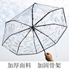 Fresh automatic umbrella for elementary school students, increased thickness, fully automatic