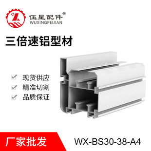 WX-066A �M�b���X�� �������X��  100118 T�Ϳ�������������X��