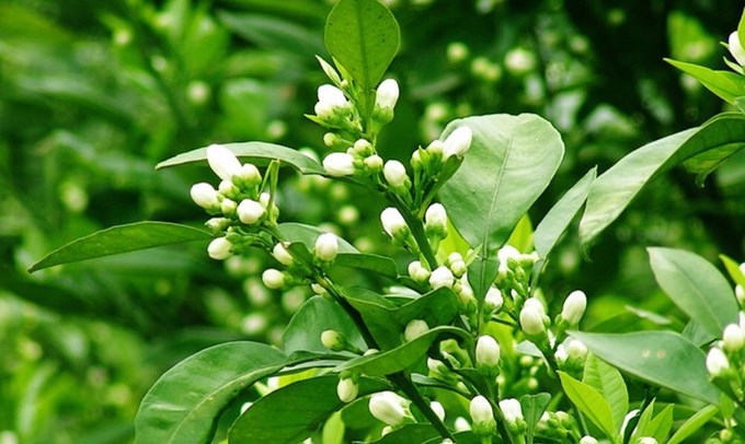 6cca937d19f7d700-9096181c80818