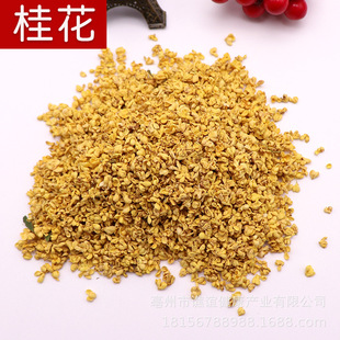 �𻨲� ���lʳ�øɹ𻨃��ɹ𻨽����؛�˹����x ���ǰ�ԭ��