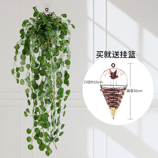 �پG�}�~�ڒ젝�ڻ��ټٻ���ɽ�����������ٗl�~�Gֲ����ֲ���b�