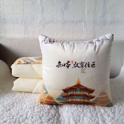 定做时尚天鹅绒抱枕被子房地产定制广告礼品抱枕家居两用靠垫被|ms