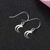 Earrings, fashionable accessory, silver 925 sample, European style