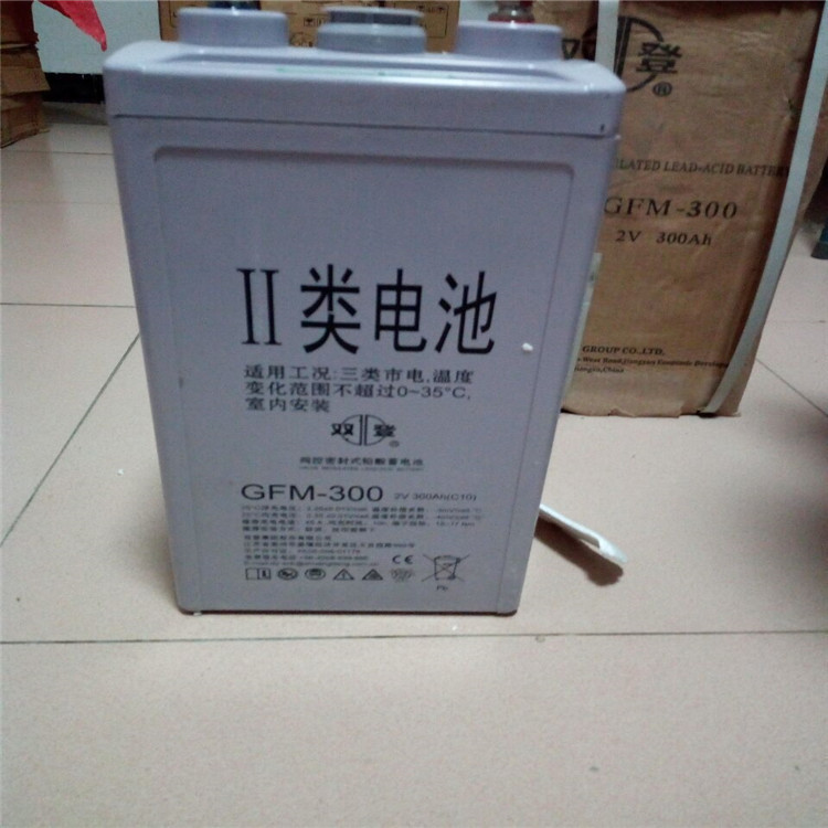 双登蓄电池GFM-200储能免维护2V200Ah 签订合同 质保三年