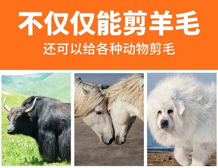 马鬃怎么剪好看,马鬃修剪后的图片,马的剪纸(第4页)_大山谷图库
