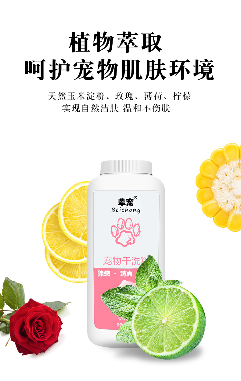 干洗粉 (8)