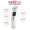 Face multi-function Cleansing Sonic cosmetic instrument Import Essence household Tira compact massage instrument