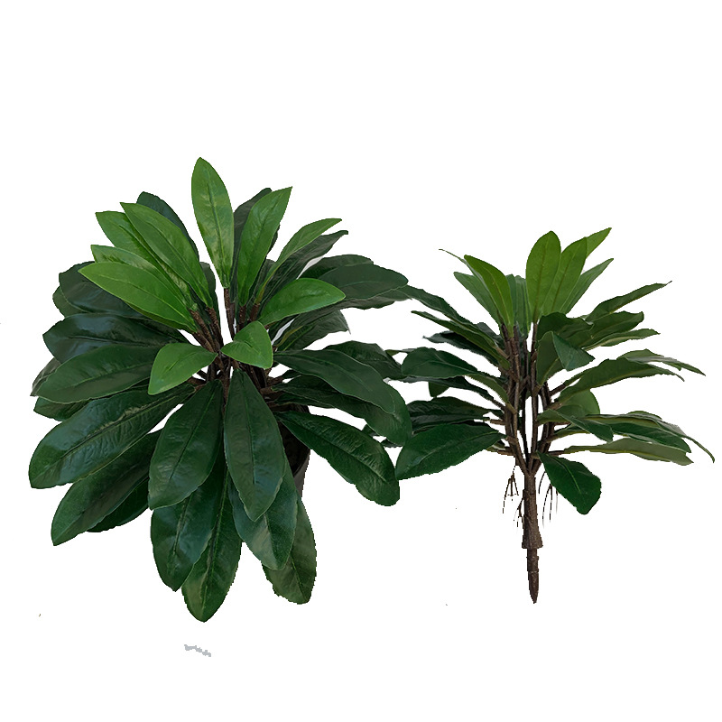 XRS-012 盆栽杨梅树叶.jpg