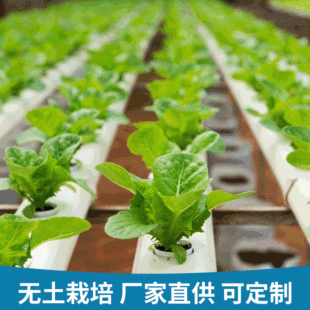 �o�������߲˲�ݮ���J �o�����๤�� �o�����������OӋ���a���b