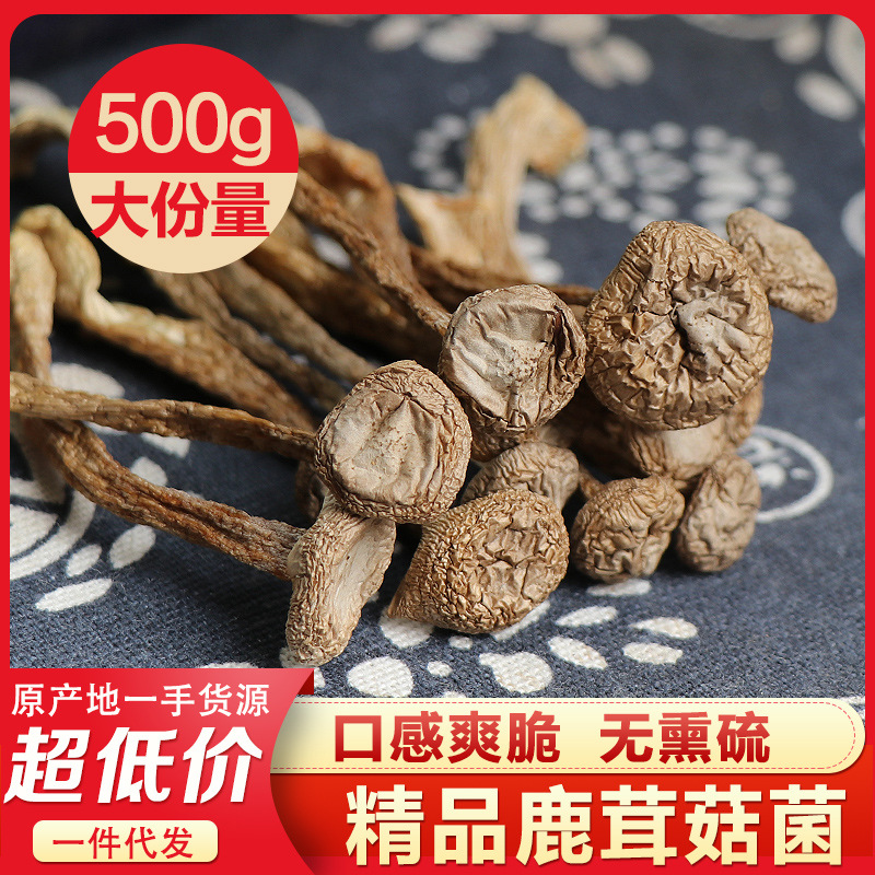云南产地货源鹿茸菇干货特产 散装批发酒店品质煲汤好喝浓香|ms