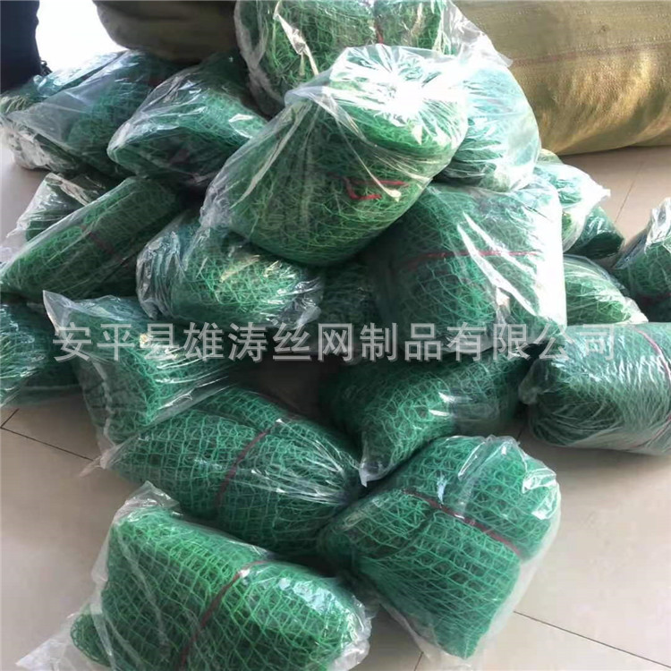 25339860548d64607eb22e97a65615