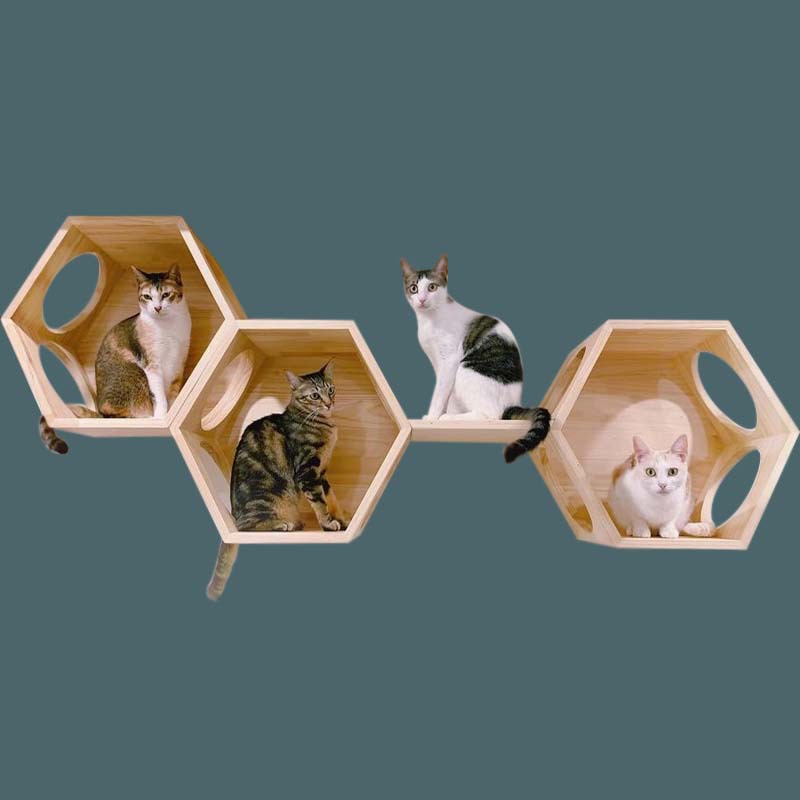 Entrega de una pieza cuatro estaciones gato pared salto plataforma de madera diy gato villa de madera maciza montado en la pared internet celebridad gato escalada marco gato nido