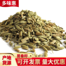 小茴香籽香料茴料零售 烧菜炒菜调料小茴香茴香籽散装批发