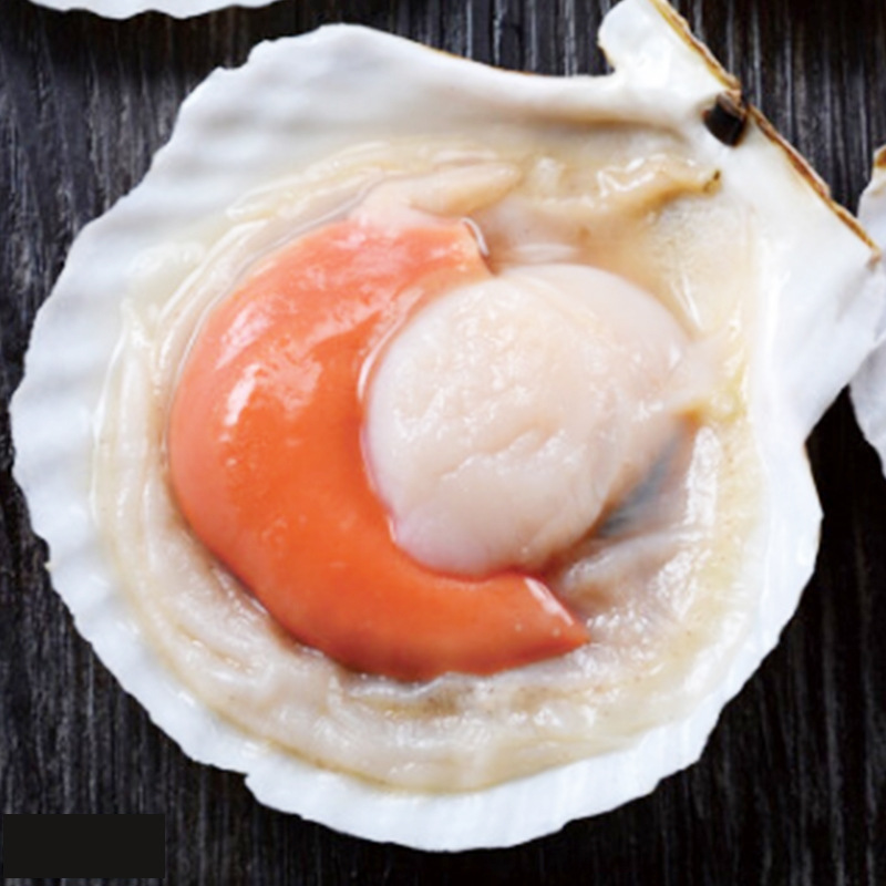 Garlic Fans Scallops Freezing Seafood barbecue Scallops Fresh Xia Yibei precooked and ready to be eaten Seafood wholesale