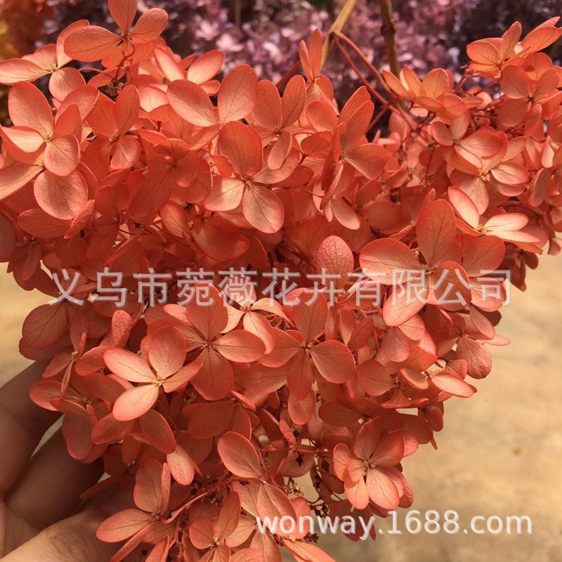 微信图片_20201025113620