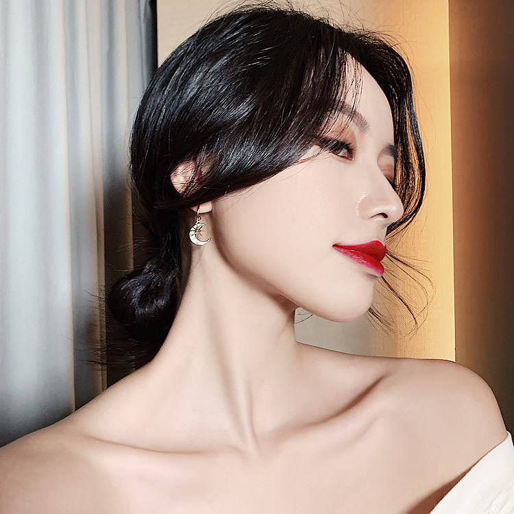 2020 New Style Star Moon Full Diamond Vergoldete Ohrringe Koreanisches Leichtes Luxus Temperament Ins Internet Internet Zirkon Ohrringe Ohrringe Frauen display picture 3