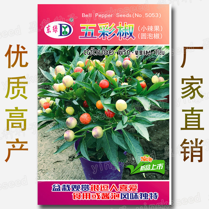 Colorful Round Pickled Pepper Seeds, about 50 Colorful Pepper Seeds, Edible Potted Pepper Vegetable Seeds Wholesale
