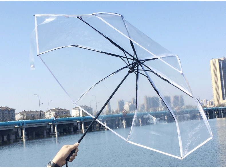 10872678766_2119238038