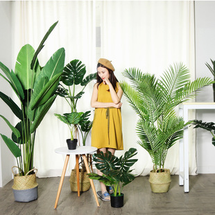 ͱW͏dطֲɢβ˽Gֲ辰b҃ȼ