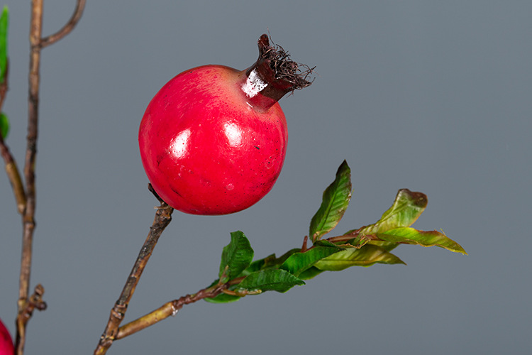 经典5头石榴 红色_06.jpg