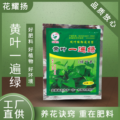 黃葉壹遍綠花肥料葉綠素葉卷葉爛根黃葉消菌葉面肥小袋裝20克批發