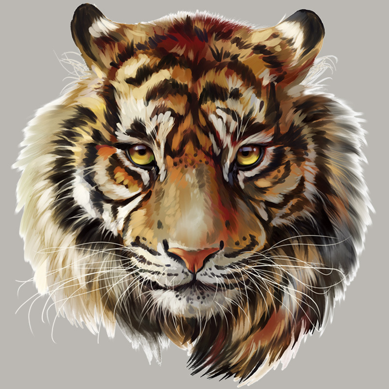 3D动物老虎狮子烫画服装t恤卫衣DIY耐水洗高弹烫画加  工厂家直供