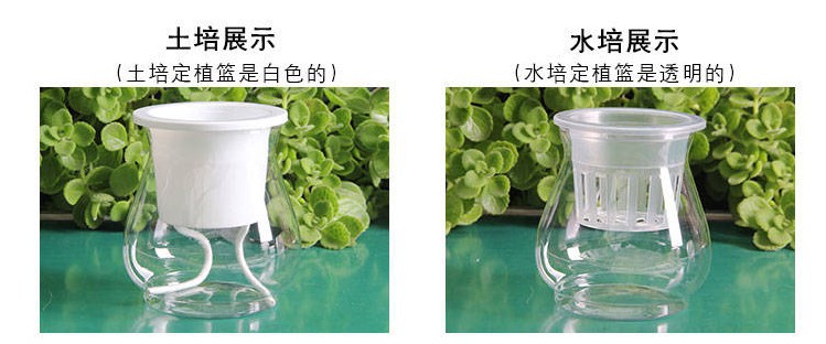 i2uUjf6mxdTrdS49SARxxPdVYqD8rcDZPZ+w