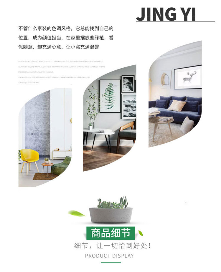 郁金香整体详情_03