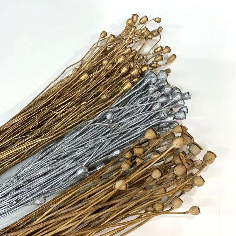 微信图片_20200102163427