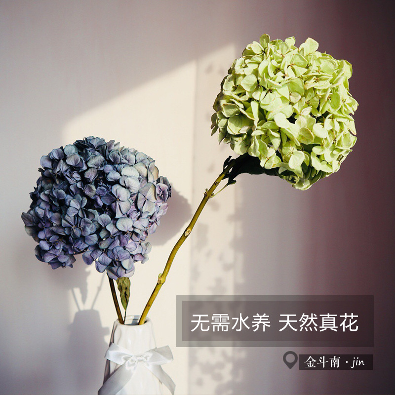 Yunnan base hydrangea dried flower Home Shop Cafe flower arrangement soft furnishings diy ceiling flower material