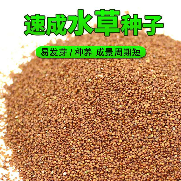 微信图片_202008081456581