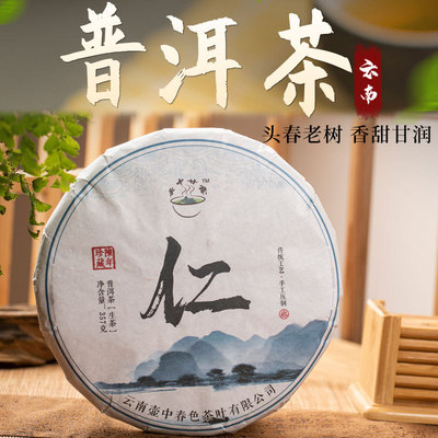 云南普洱茶七子饼生茶冰岛大树春茶老树陈年357克普洱晒青生茶饼