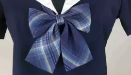 半身裙;小西装;其它JK