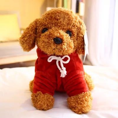 Suéter rojo oscuro perro marrón