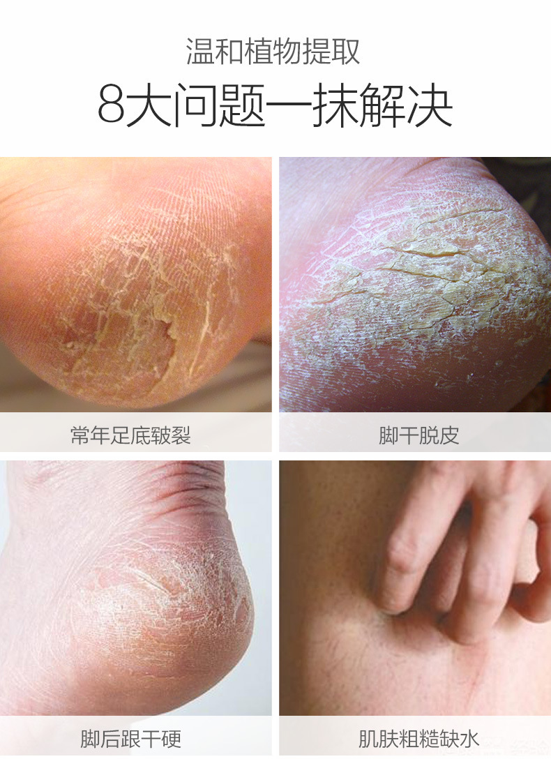 4823161251_1719040382