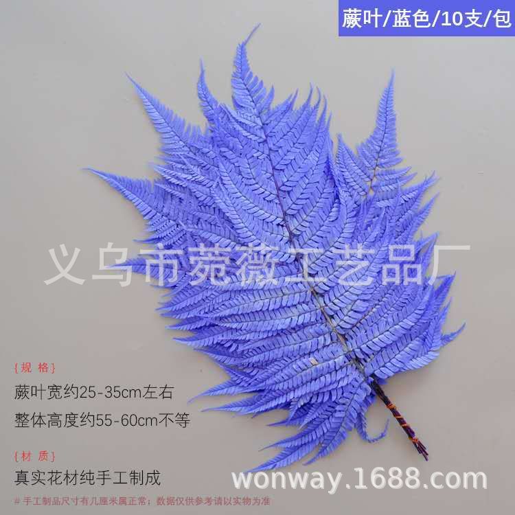 微信图片_20200601160053